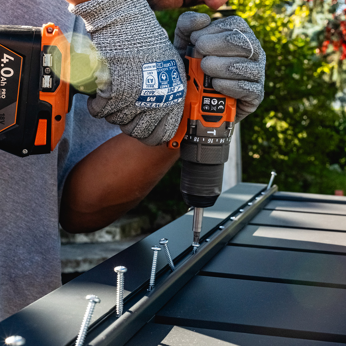 Descoperiți Casanoov